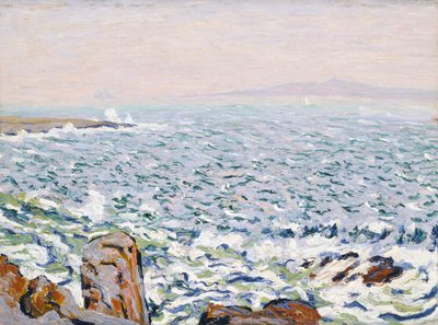 Surf Breaking, Cranberry Island af Allen Tucker