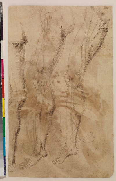 Tre undersøgelser af et mandligt ben (verso) ca. 1537 (pen og brunt blæk på lagt papir) [se 5948317] af Alonso (workshop of) Berruguete