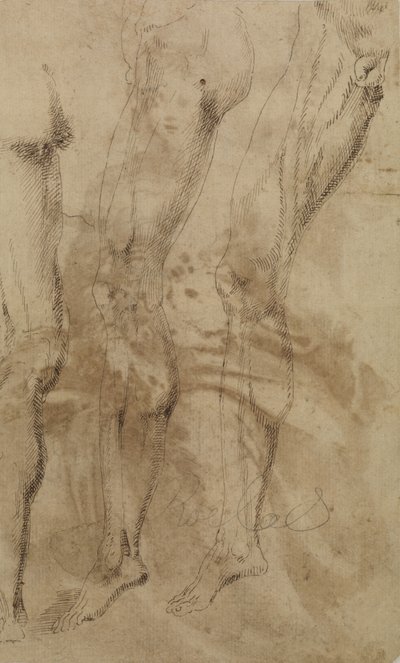 Tre undersøgelser af et mandligt ben, ca. 1637 af Alonso Berruguete