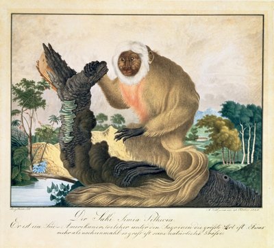Saki-aben, 1835 af Aloys Zötl