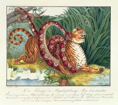 The Tiger and the Boa Constrictor, 1835 af Aloys Zötl