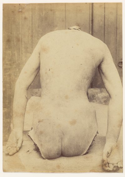 Bagside af bagagerummet af Alphonse Bertillon