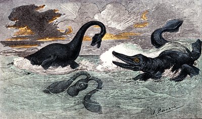 Lias-periode (nedre jura): Plesiosaur og Ichthyosaur, naturlig skabelse og levende væsener (af Jules Renegade) Tegning af A. Demarle. 1885 af Alphonse Demarle