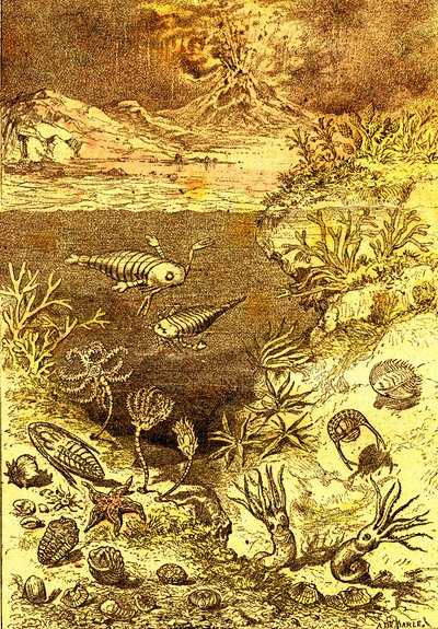 Esihistoria - Silurian ajan loppu: Luonnollinen luominen ja elävät olennot (J. Rengade) Piirustus A. Demarle. 1885 af Alphonse Demarle