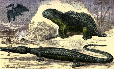 Forhistorie - Jurassic Period: Teleosauren og Hyleosauren. Pterodactylen ovenpå. Naturlig skabelse og levende væsener. Tegning af A. Demarle. 1885 af Alphonse Demarle