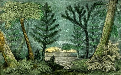 Esihistoria, kivihiilen aikakausi: Kivihiilen aikakausi ja poraus (J. Rrengade) af Alphonse Demarle