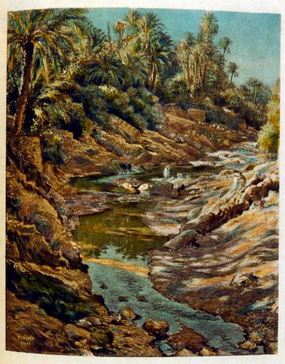 Illustration af Dinet fra 