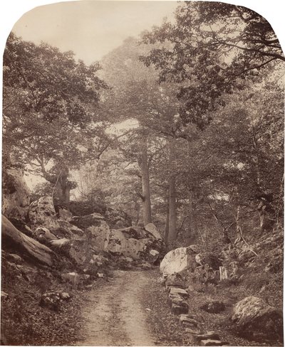 Fontainebleau af Alphonse Jeanrenaud