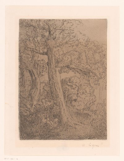 To træer af Alphonse Legros (signed by artist)