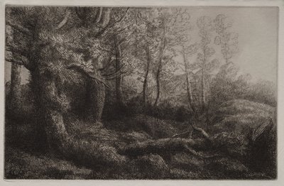 Et skovstudie af Alphonse Legros