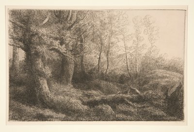 Et skovstudie af Alphonse Legros