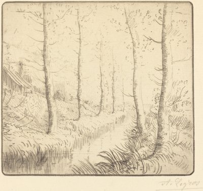 Birketræer langs vandet af Alphonse Legros