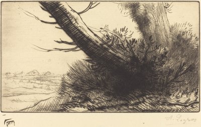 Hjørne af en sti af Alphonse Legros