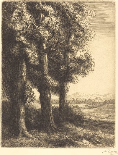 Hjørne af en skov (Coin d