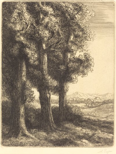 Hjørne af en skov (Coin d