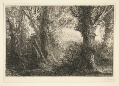 Dans la foret de Conteville (I Conteville-skoven) af Alphonse Legros