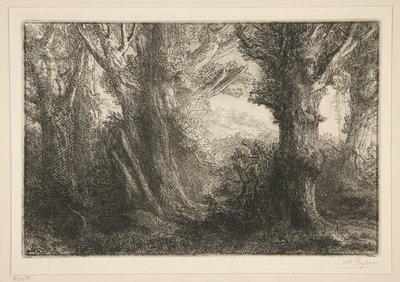 Dans la foret de Conteville (In the Forest of Conteville0 af Alphonse Legros