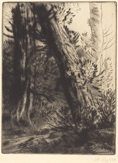 Edge of a Brook (Bord de ruisseau) af Alphonse Legros