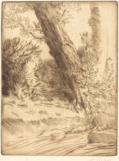 Edge of a Brook (Bord de ruisseau) af Alphonse Legros