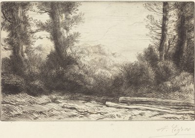 Kant af et træ Lisiere de bois. af Alphonse Legros