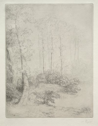 Vandets kant af Alphonse Legros