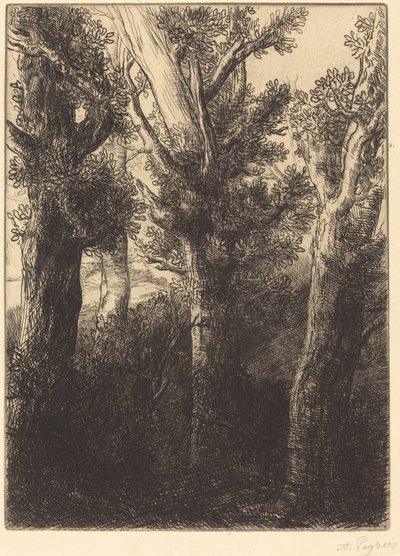 German Forest, Downley. af Alphonse Legros