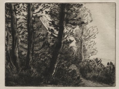Vagt hus. af Alphonse Legros