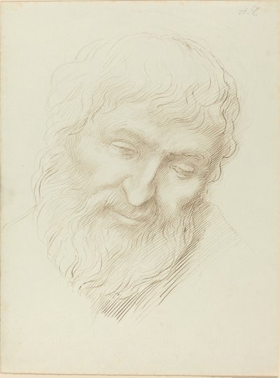 Hoved af en mand af Alphonse Legros