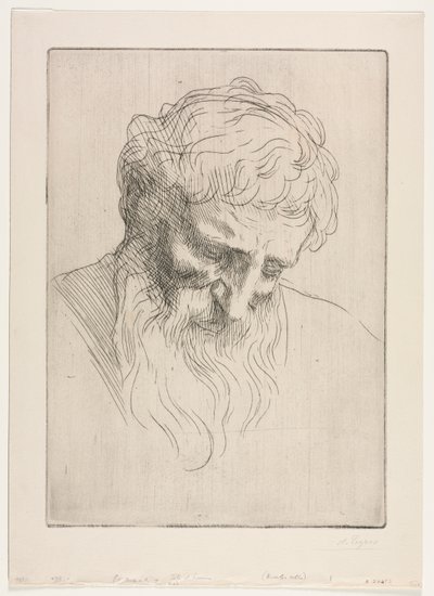 Hoved af en mand af Alphonse Legros