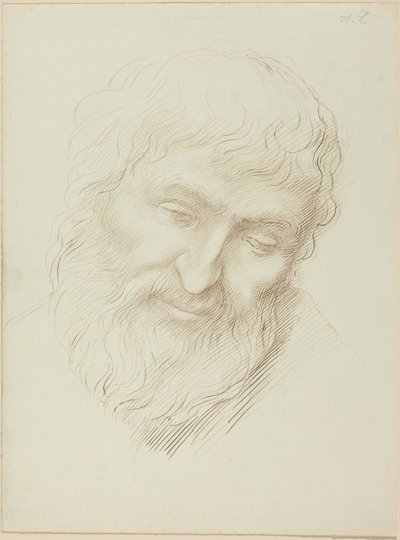 En mands hoved af Alphonse Legros