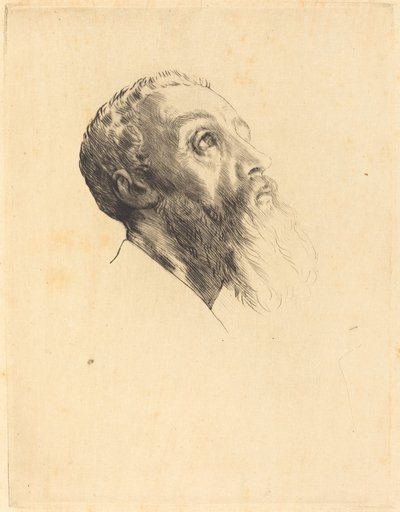 Head of a Model Head of models. af Alphonse Legros