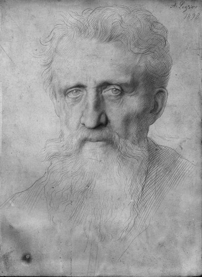 Hoved af en mand med langt skæg, 1898 (sølvspids på hvidt karton) af Alphonse Legros