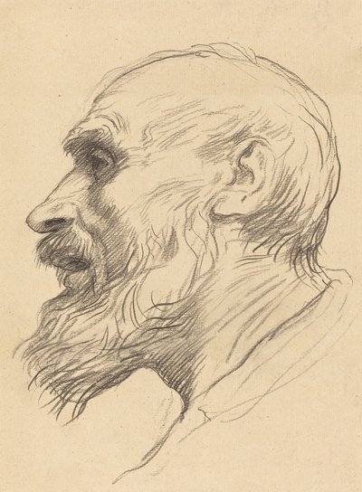 Hoved af en gammel mand. af Alphonse Legros