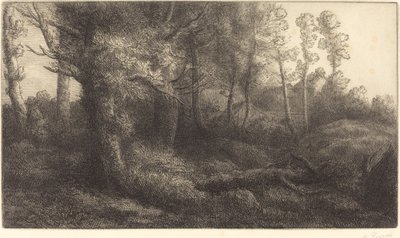 I skoven Lisiere de foret. af Alphonse Legros