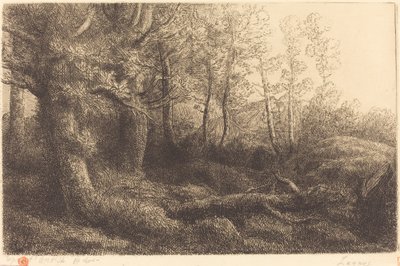 I skoven forforet lisiere de. af Alphonse Legros