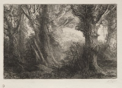 I skoven ved Conteville af Alphonse Legros