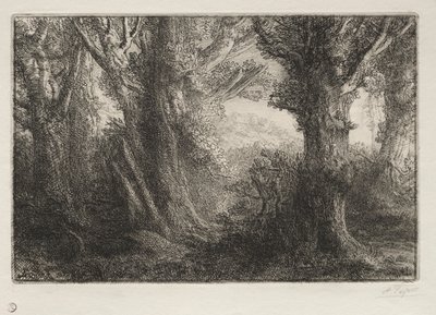 I skoven ved Conteville. af Alphonse Legros