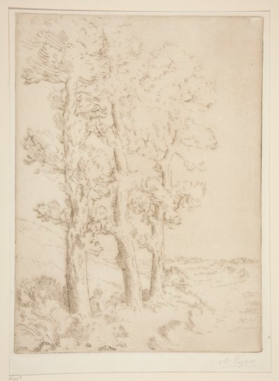 Kvindelæsning: Lektion under træerne af Alphonse Legros