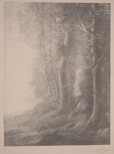 Landskab (litho) af Alphonse Legros