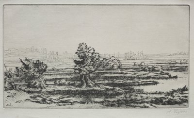 Landskab. af Alphonse Legros
