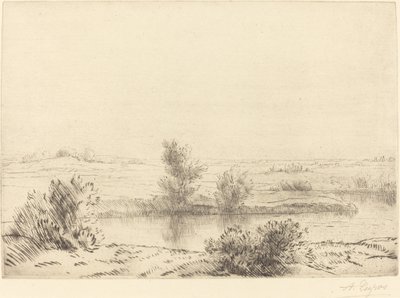 Marsh Marshes. af Alphonse Legros