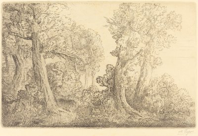 Nær skoven, Veronne (Pres du bois, Veronne) af Alphonse Legros