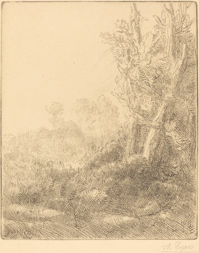 Old Village Old Town. af Alphonse Legros
