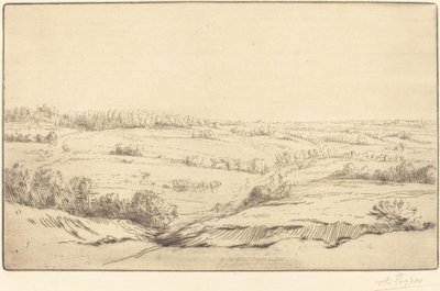 Almindeligt af Alphonse Legros