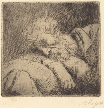 Sovende tigger Sovende tigger. af Alphonse Legros