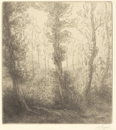 Lille Sø af Alphonse Legros