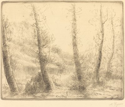Lille sø Den lille sø. af Alphonse Legros