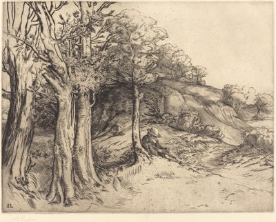Ensomhed Ensomhed Landskab. af Alphonse Legros