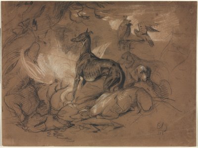 Studier af dyr af Alphonse Legros