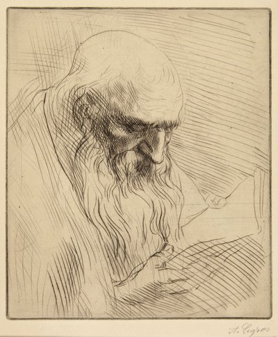 Studie af en gammel mand, der læser af Alphonse Legros